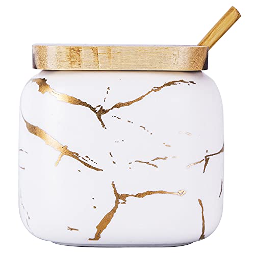 VanEnjoy Decorative Marble Inlay Glaze Ceramic Sugar Spice Containers Porcelain Jar with Bamboo Lid and Spoon Condiment Jar for Home