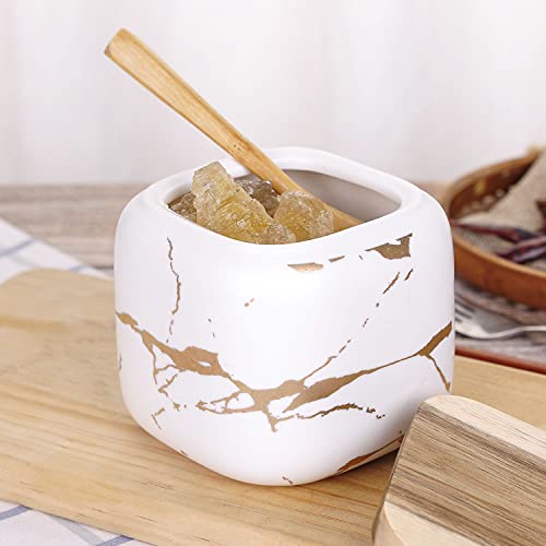 VanEnjoy Decorative Marble Inlay Glaze Ceramic Sugar Spice Containers Porcelain Jar with Bamboo Lid and Spoon Condiment Jar for Home