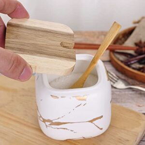 VanEnjoy Decorative Marble Inlay Glaze Ceramic Sugar Spice Containers Porcelain Jar with Bamboo Lid and Spoon Condiment Jar for Home
