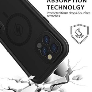 Diverbox Design for iPhone 12 Pro Max Waterproof Case with Kickstand, Durable Shockproof Phone Case Cover with Built in Screen Protector for iPhone 12 Pro max 6.7'' Only (Black)