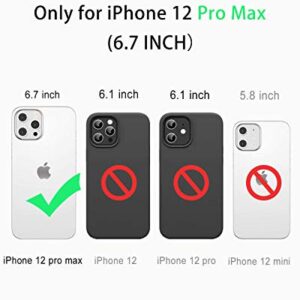 Diverbox Design for iPhone 12 Pro Max Waterproof Case with Kickstand, Durable Shockproof Phone Case Cover with Built in Screen Protector for iPhone 12 Pro max 6.7'' Only (Black)