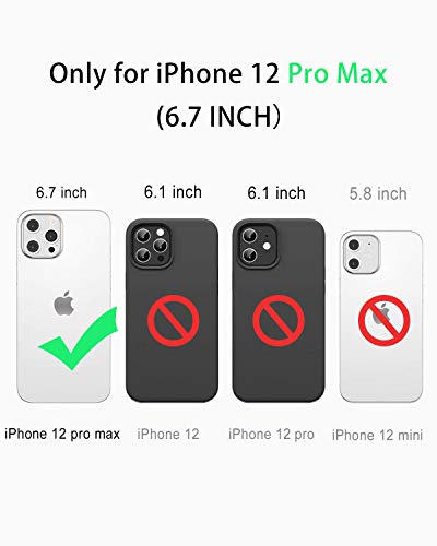 Diverbox Design for iPhone 12 Pro Max Waterproof Case with Kickstand, Durable Shockproof Phone Case Cover with Built in Screen Protector for iPhone 12 Pro max 6.7'' Only (Black)