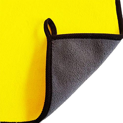 Soft Microfiber Towel for Washing, Drying, Detailing Vehicle, Absorbent Car Wash Towels, Micro Fiber Clothes for Car Detailing/Interior Lint Free 600GSM ,6 Pack 16 x 16inches