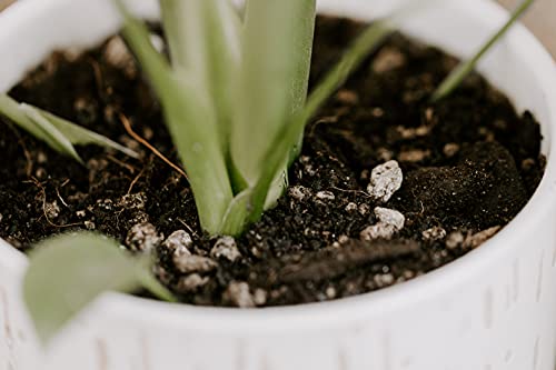 Premium Monstera Potting Soil - Quick Drain Potting Soil for Monstera Deliciosa/Swiss Cheese Plant