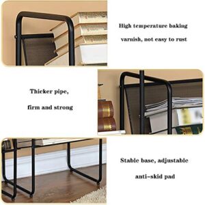 ZYCSKTL Brochure Stand Mesh Magazine Rack Holder,Living Room Wrought Iron Floor Magazine Rack, Simple Small Bookshelf, Company Simple Propaganda Rack (Color : Black, Size : 2938.589cm)