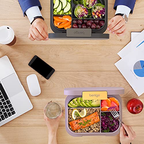 Bentgo® Modern - Versatile 4-Compartment Bento-Style Lunch Box, Leak-Resistant, Ideal for On-the-Go Balanced Eating - BPA-Free, Matte Finish and Ergonomic Design (Orchid)