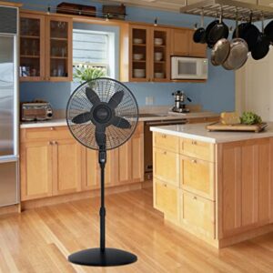 Lasko S18440 Performance 18-inch Oscillating Pedestal Standing Floor Fan with Remote Control and Adjustable Stand for Indoor, Bedroom, Living Room, Home Office & College Dorm Use – Black