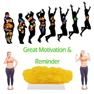 Human Body Fat Replica, 5lb Fat Model, 5 Pounds of Fat Anatomical Fat Model for Keep Fit, Weight Loss Motivation Reminder, Nutritionist, Anatomical Science Course, Medical Student