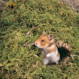 Niteangel 5L Forest Moss Soft Natural Moss Bedding Nesting for Dwarf Syrian Hamsters, Gerbils, mices, Degus or Other Small Animal