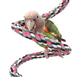 Parrot Rope Boing - Spiral Rope Swing (Medium)