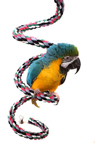 Parrot Rope Boing - Spiral Rope Swing (Medium)