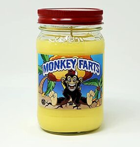 monkey farts candle ~ premium all natural soy candle ~ mason jar candle ~ funny candle with amazing scent (16oz mason jar)