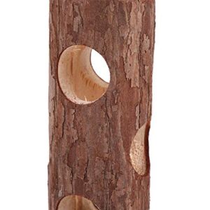 Oumefar Pet Chew Toy Natural Wooden Forest Hollow Tree Trunk Tunnel Tube Toy Hamster Tunnel Wood Hideout for Small Animals Hamsters Mice Rats(Big)