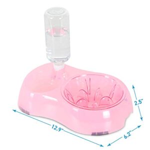 ANYPET Slow Feeder Bowl, Elevated, Double Transparent for Cats, Small Dogs, Pet Automatic Water Feeder with Water Bottle, Pink (APF06P)