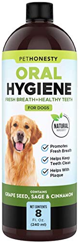 PetHonesty Oral Hygiene Dental Water Additive | Dog Mouthwash + Teeth Cleaning | Keeps Teeth + Gums Clean | Freshens Breath + Targets Plaque + Tartar - 8 oz