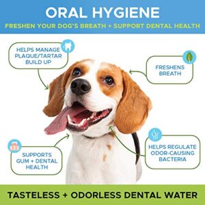 PetHonesty Oral Hygiene Dental Water Additive | Dog Mouthwash + Teeth Cleaning | Keeps Teeth + Gums Clean | Freshens Breath + Targets Plaque + Tartar - 8 oz