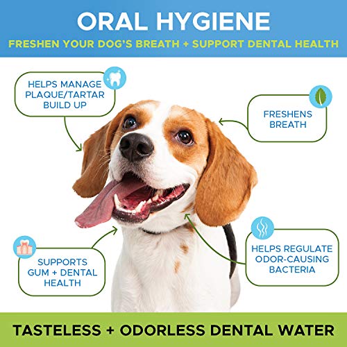 PetHonesty Oral Hygiene Dental Water Additive | Dog Mouthwash + Teeth Cleaning | Keeps Teeth + Gums Clean | Freshens Breath + Targets Plaque + Tartar - 8 oz