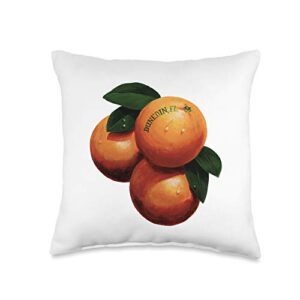 spat's splats steve spathelf original dunedin florida orange throw pillow, 16x16, multicolor
