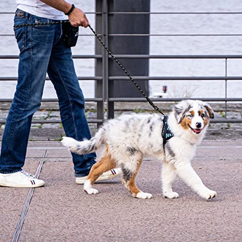 Panykoo 5/6 FT Strong Pet Dog Leash with Highly Reflective Threads,360-Degree No Tangles and Comfortable Padded Handle,Suitable for Small,Medium and Large Dogs