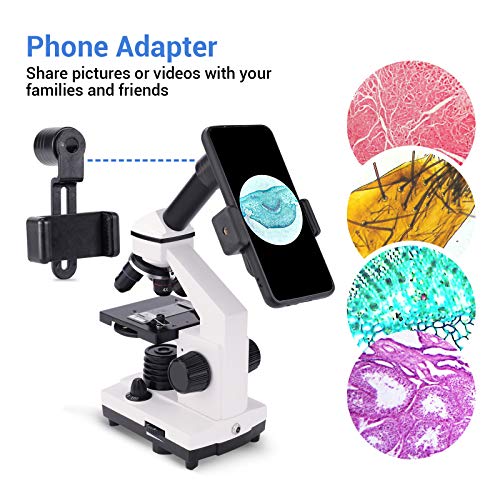 Microscope,Compound Monocular Microscope 40X-2000X for Kids,Adults and Students, Precision Biological Science Education Microscope with Kits