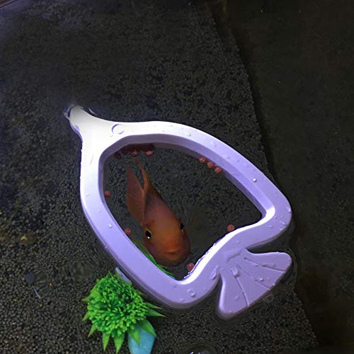 Maxmoral White Fish Feeding Ring Aquarium Fish Tank Mariculture Fishes Floating Food Feeder Circle with Suction Cup