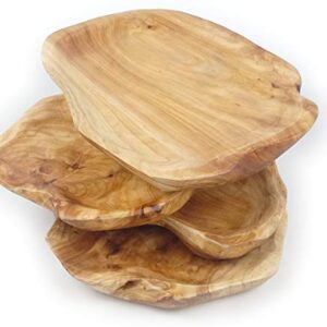 EWEIGEER Wood Fruit Snack Dish Hand-Carved Candy Dish Natural Handmade Wooden Serving Tray Wood Root Carved Dish Fruit Bowl 12.5"