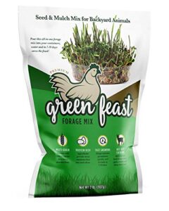 amturf green feast forage mix, brown,2 lb bag, 36018s