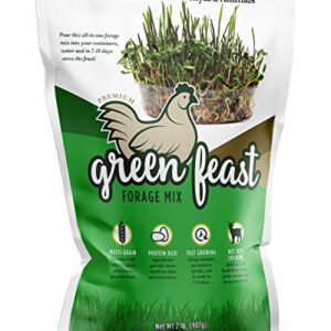 Amturf Green Feast Forage Mix, Brown,2 Lb Bag, 36018S