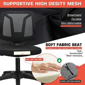 VigorPow Armless Mesh Office Chair Ergonomic Swivel Black Small Computer Desk Chair No Arms with Lumbar Support Height Adjustable Task Chair for Adults and Kids