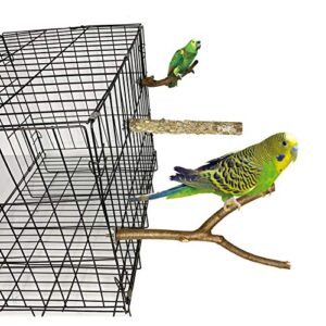 kathson Natural Wood Bird Perch Parakeet Stand Platform Parrot Paw Grinding Sticks Branches Bird Cage Accessories for Budgies Cockatiels Conure Parakeet Lovebirds 7 Pack