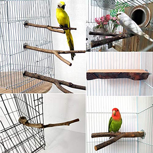 kathson Natural Wood Bird Perch Parakeet Stand Platform Parrot Paw Grinding Sticks Branches Bird Cage Accessories for Budgies Cockatiels Conure Parakeet Lovebirds 7 Pack