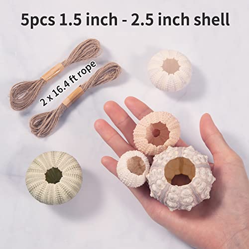 5 Pack Mini Sea Urchin Shell Air Plant Holders- 5 Styles Decorative Hanging Air Plant Pot Cute Tillandsia Succulent Display Container with Ropes for Home Garden Beach Theme Party Decors (No Plants)