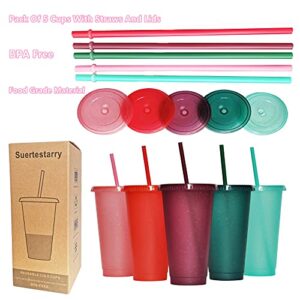 Suertestarry Tumbler with Straw and Lid,Water Bottle Iced Coffee Travel Mug Cup,Reusable Plastic Cups,Perfect for Parties,Birthdays,24oz-5 Pack (Rainbow Glitter(24oz)