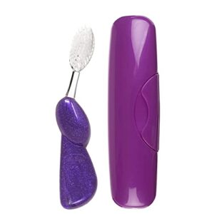 radius toothbrush big brush with replaceable brush head bpa free ada accepted - right hand - purple brush with purple case