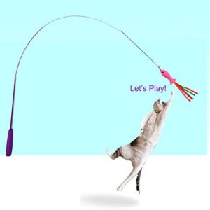 11 Pack Cat Toys Interactive Cat Feather Toys, 2 Retractable Cat Toy Wand, Variety 7 Worms and 1 Catnip Fish Teaser Refills with Bells, Kitten Toys Assortments Fun for Indoor Cats, 1 Replacement Line