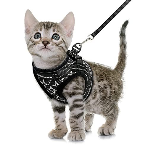 CatRomance Cat Harness and Leash, Escape Proof Kitten Harness and Leash Set for Walking, Adjustable Cat Vest Harness for Kitten, Breathable Kitty Harness ​with Reflective Strips and Easy Control