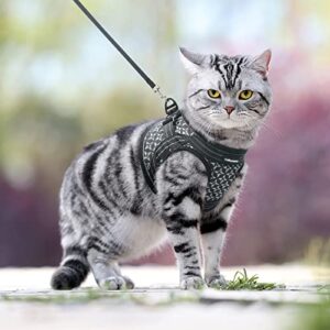 CatRomance Cat Harness and Leash, Escape Proof Kitten Harness and Leash Set for Walking, Adjustable Cat Vest Harness for Kitten, Breathable Kitty Harness ​with Reflective Strips and Easy Control