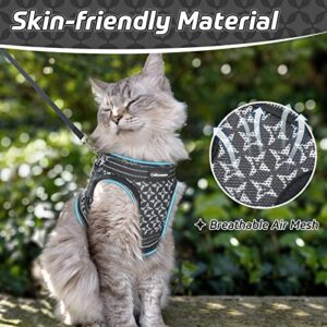 CatRomance Cat Harness and Leash, Escape Proof Kitten Harness and Leash Set for Walking, Adjustable Cat Vest Harness for Kitten, Breathable Kitty Harness ​with Reflective Strips and Easy Control