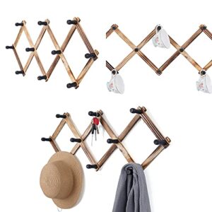 WGFKVAS 2 Pack Expandable Coat Rack, Accordion Wall Hangers, Wooden Hat Rack Wall Mounted, Hat Hooks for Keys, Hat, Coffee Mug, Coats, 10 Peg Hooks