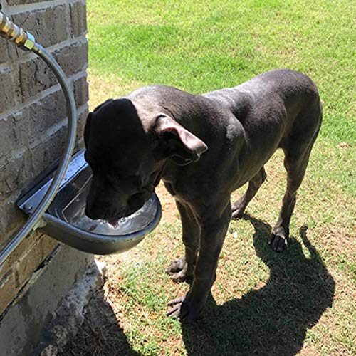 Abustle pig Automatic Cow Drinking Water Bowl Dispenser with 2 Float Ball valves,304 Stainless Steel Farm Animals Waterer for Horse Cattle Sheep Pet Dog Chickens(Without Drainage Hole)