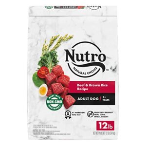nutro natural choice adult dry dog food, beef & brown rice recipe dog kibble, 12 lb. bag