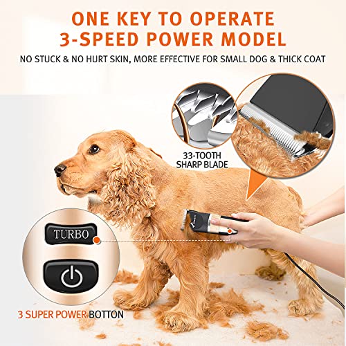 Gimars 2 in 1 Ceramic Blade Dog Grooming Clippers with Small Trimmer, 3-Speed High Power Quiet Rechargeable Dog Shaver Hair Clippers Kit with Comb & Scissors USB Cordless Electric for Dog, Cat, Pet