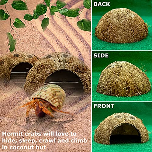 Hamiledyi Reptile Hideouts Natural Coconut Shells Hut Small Animal Hide Cave Hermit Crab Climbing Toys Lizard Habitat Decor Plant Leaves Decoration for Gecko Spider Snake Chameleon (4Pcs)