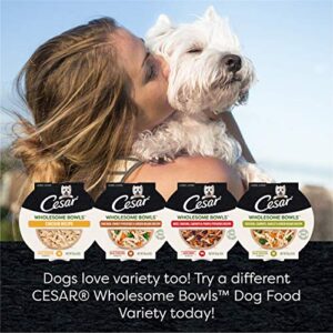 CESAR WHOLESOME BOWLS Adult Soft Wet Dog Food Beef, Chicken, Purple Potatoes & Carrots Recipe, (10) 3 oz. Bowls