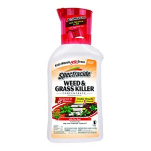 spectracide weed and grass killer concentrate, 32 ounces, with accumeasure system