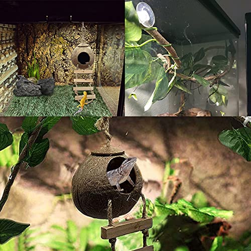 Tfwadmx Crested Gecko Coco Hut Natural Lizard Coconut Shell Hideout Home Mini Condo Reptiles Durable Ladder Cave Habitat Hanging Loop Climbing Porch Hiding Nest House