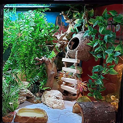 Tfwadmx Crested Gecko Coco Hut Natural Lizard Coconut Shell Hideout Home Mini Condo Reptiles Durable Ladder Cave Habitat Hanging Loop Climbing Porch Hiding Nest House