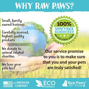 Raw Paws Soft-Tip Pet Grooming Gloves for Dogs & Cats - Cat Deshedding Glove - Cat Gloves for Grooming - Horse Grooming Gloves - Dog Deshedding Glove - Cat Grooming Glove, Dog Brush Glove for Shedding