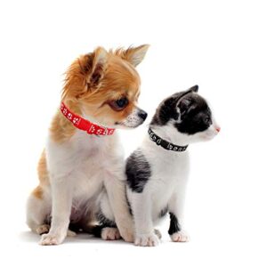 Ameolela Puppy ID Collars Identification Whelping Soft Nylon Adjustable Breakaway Safety Litter Collars for Newborn Pets and Small Dog 14 pcs/Set