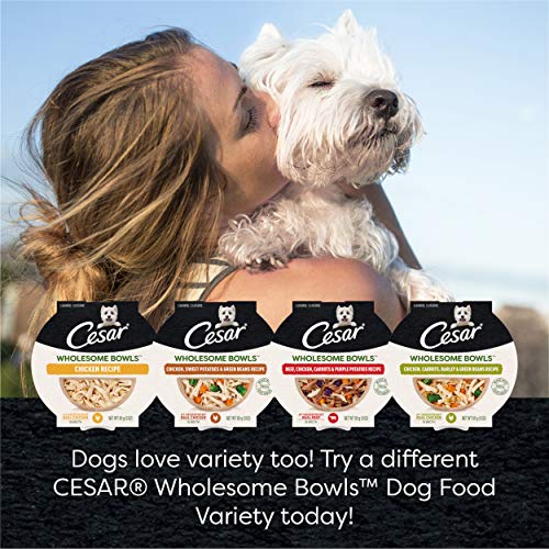 CESAR WHOLESOME BOWLS Adult Soft Wet Dog Food Chicken, Carrots, Barley & Green Beans Recipe, (10) 3 oz. Bowls